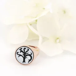 Anello 'Bring Ring'